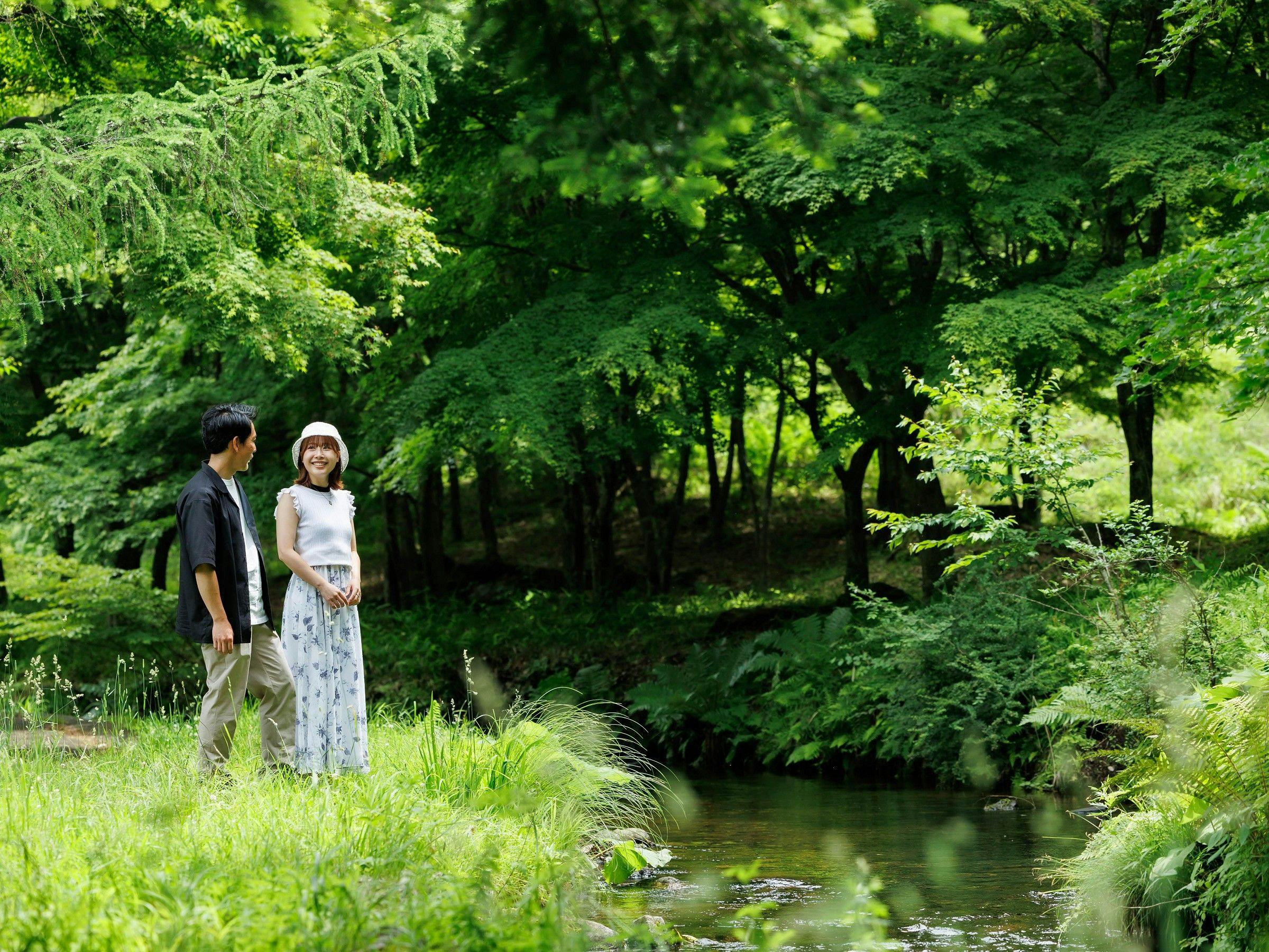周辺にはきれいな小川が流れています。