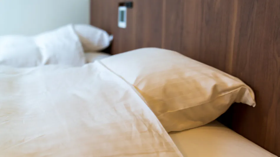 Business Hotel Hyakuju