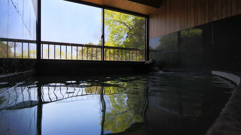 Accommodation of Ocean Breeze and Sunlight Filtering Through Trees Fujiwara
