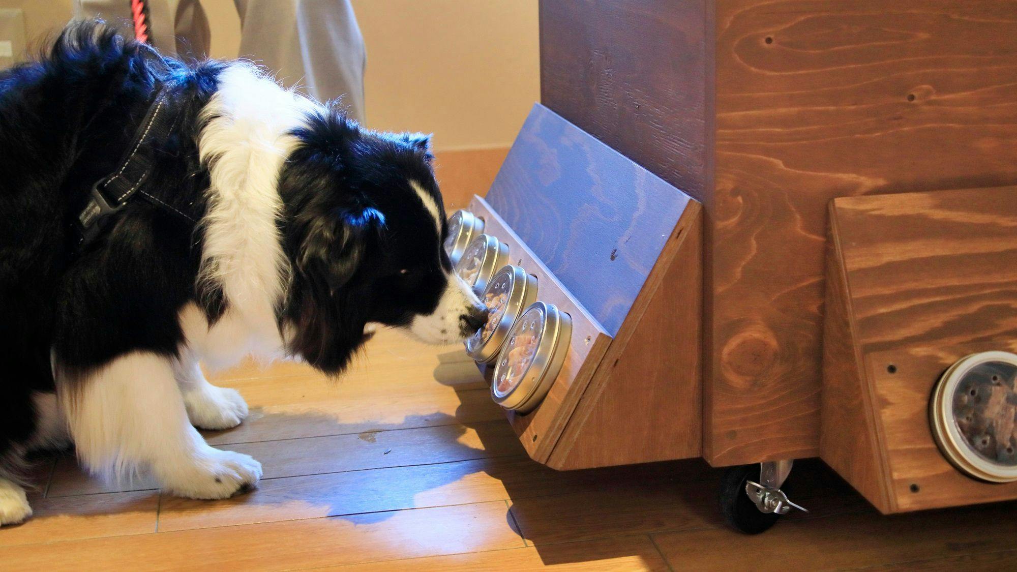 【Gerobak Camilan】