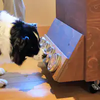 【Gerobak Camilan】