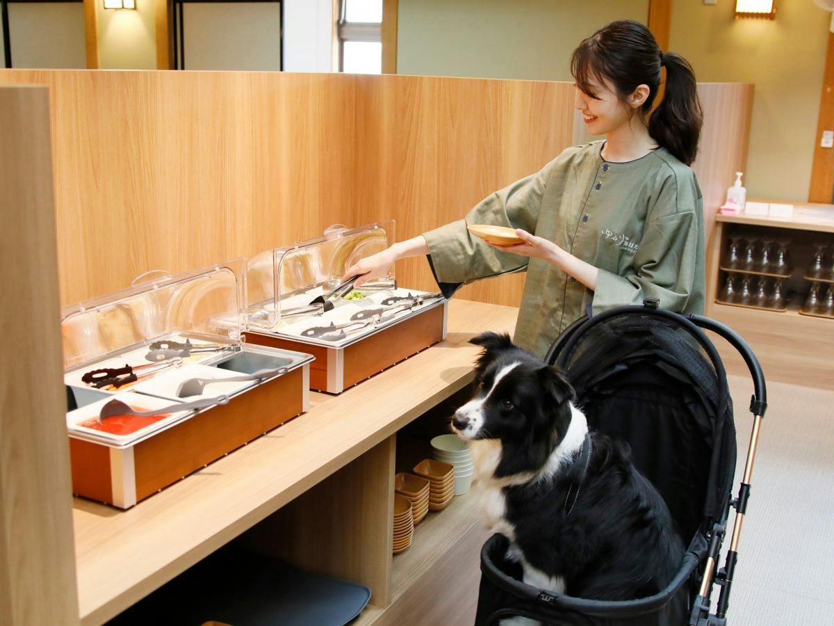 Yururi Oku-Nikko with DOGS