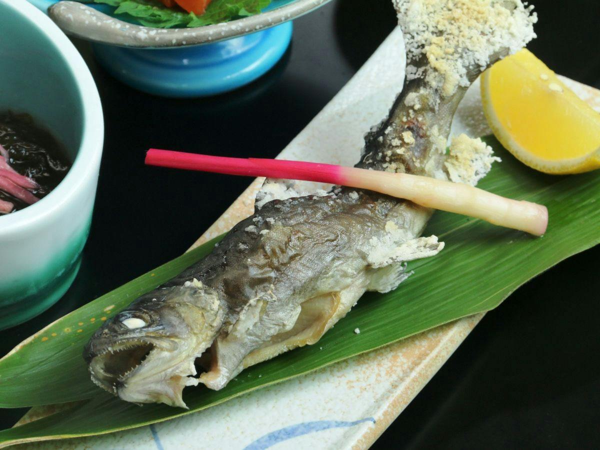 Shikanoyu Tsuchiya