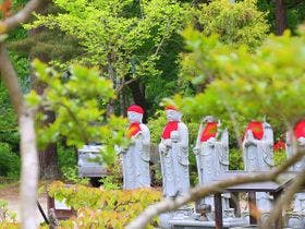 金剛寺宿坊 成穂院