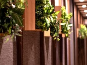 Ｂｅａｕｔｅｍｐｓ