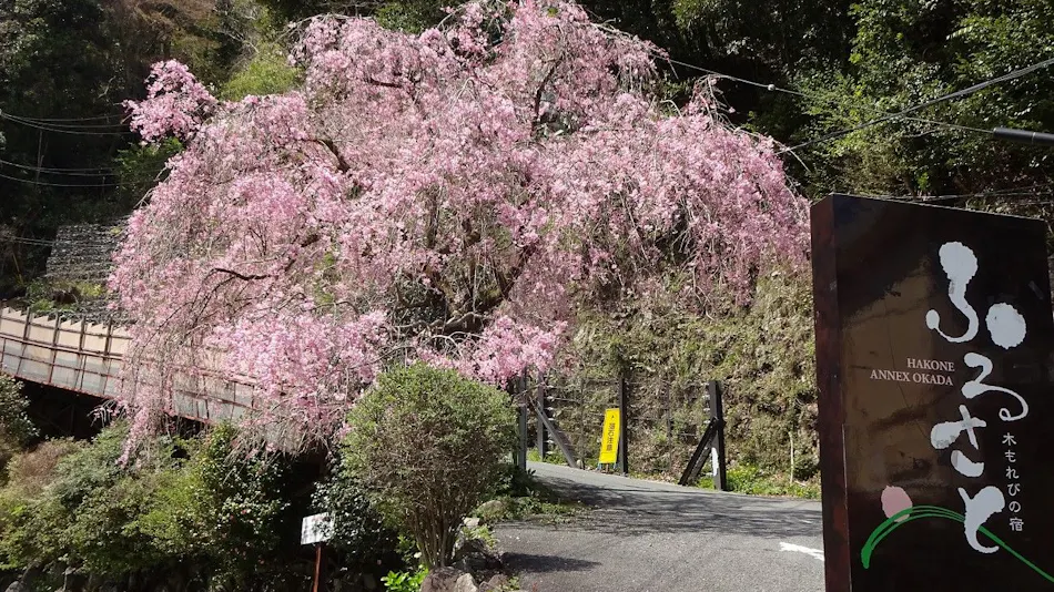 Komorebi no Accommodation Furusato