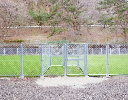 ドッグラン