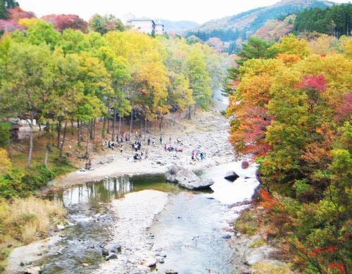 ロッジ村河原の紅葉