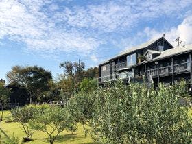 Ｌａ　Ｔｅｒｒａｓｓｅ　Ａｗａｊｉ