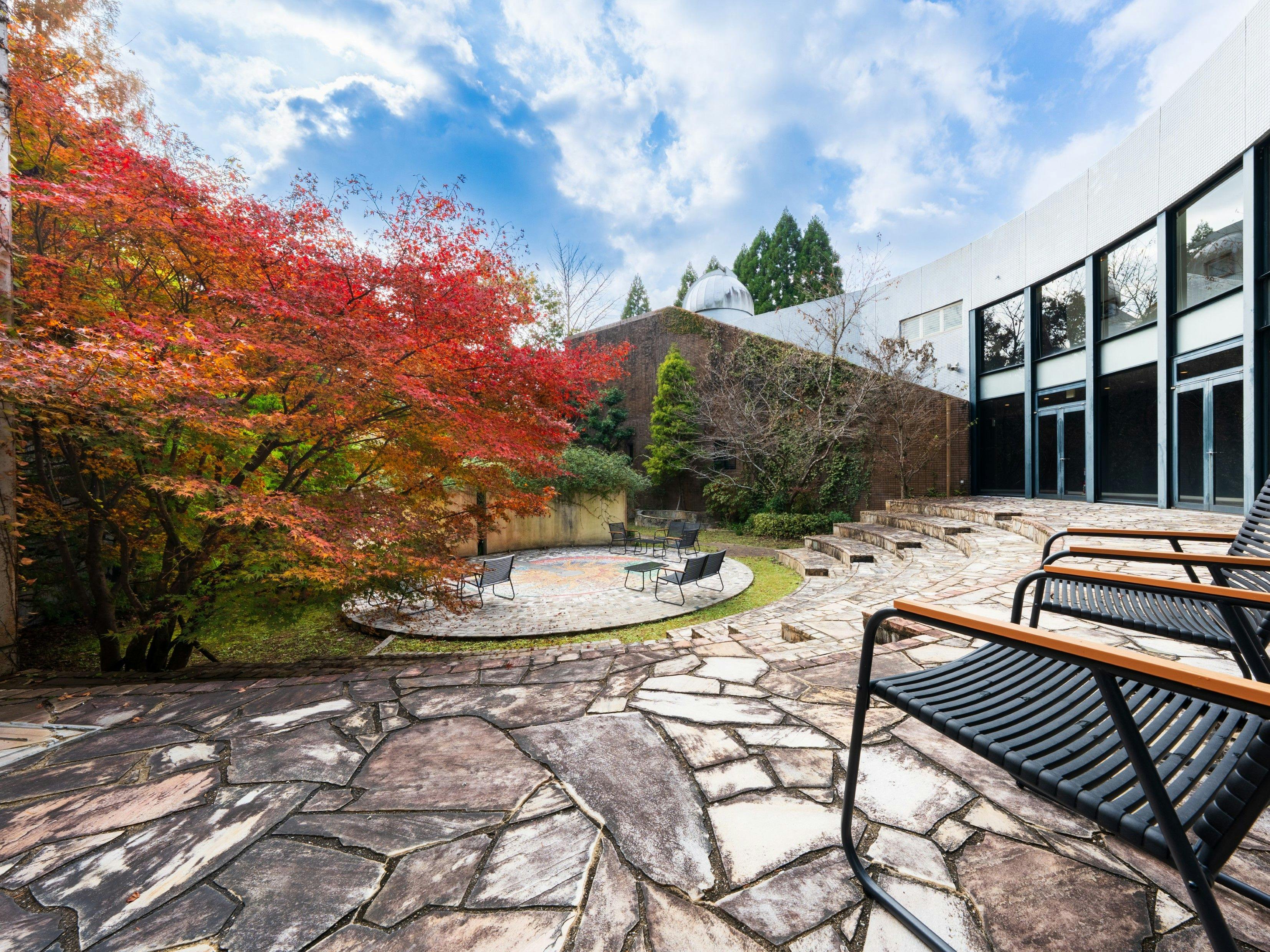 ลานภายในในช่วงฤดูใบไม้เปลี่ยนสีจะเต็มไปด้วยสีสันสดใส