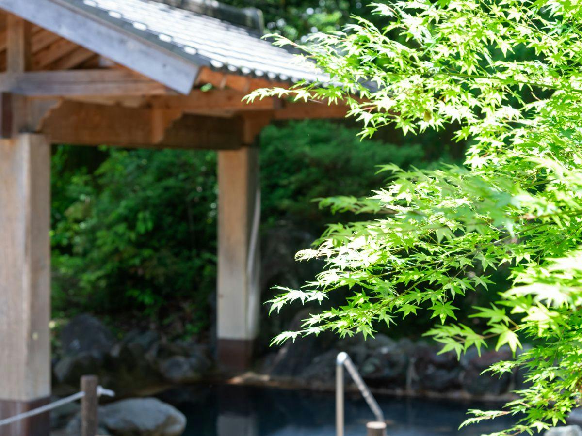 Sagara Onsen Sayuri