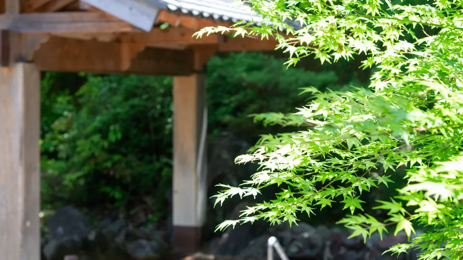 Sagara Onsen Sayuri