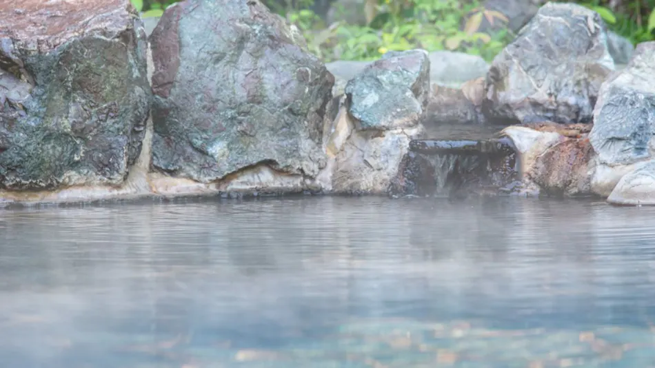 Sagara Onsen Sayuri