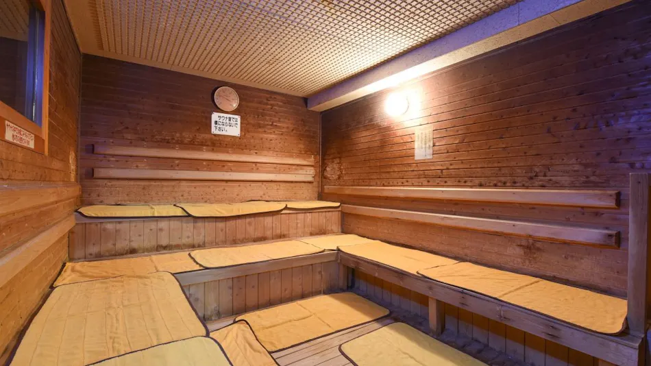 Sagara Onsen Sayuri