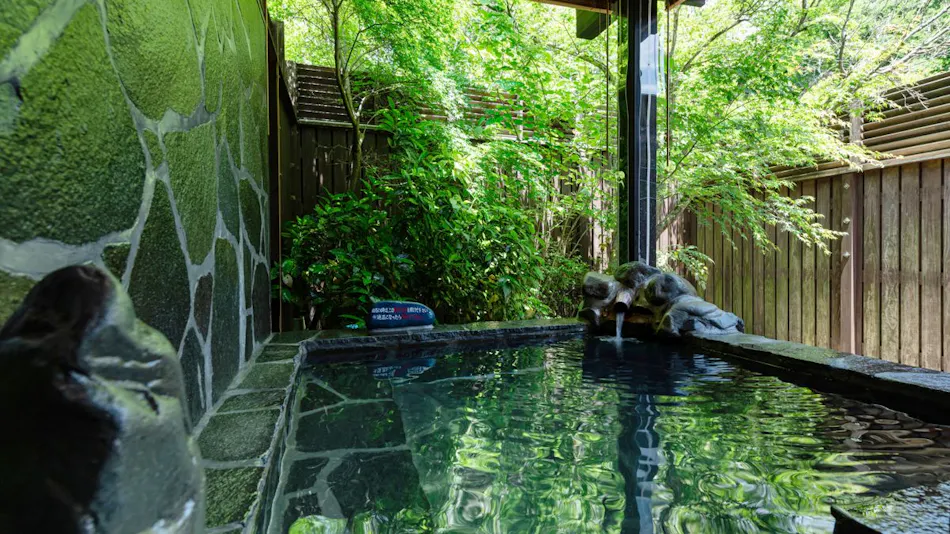 Sagara Onsen Sayuri