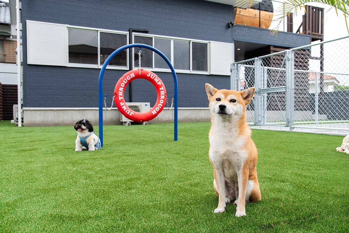 Dog Villa SAMPO