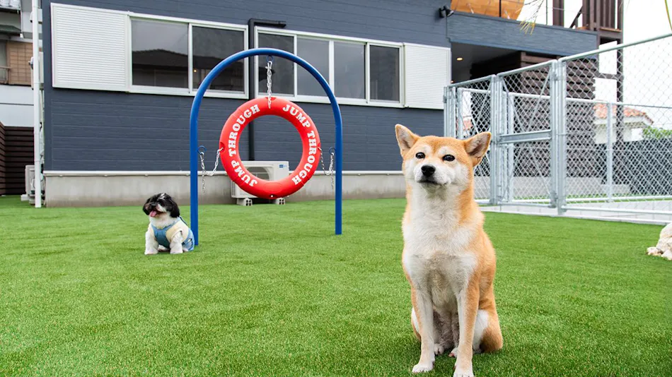 Dog Villa SAMPO