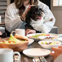 *【ภาพตัวอย่างอาหารเช้า】