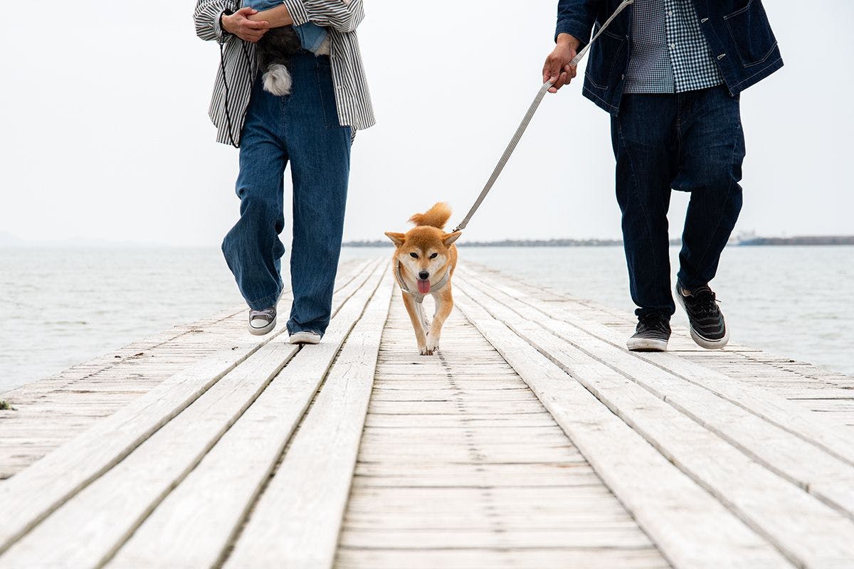 *【เดินเล่นริมทะเล】