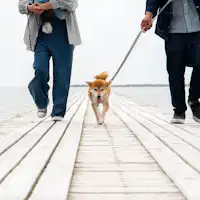 *【เดินเล่นริมทะเล】