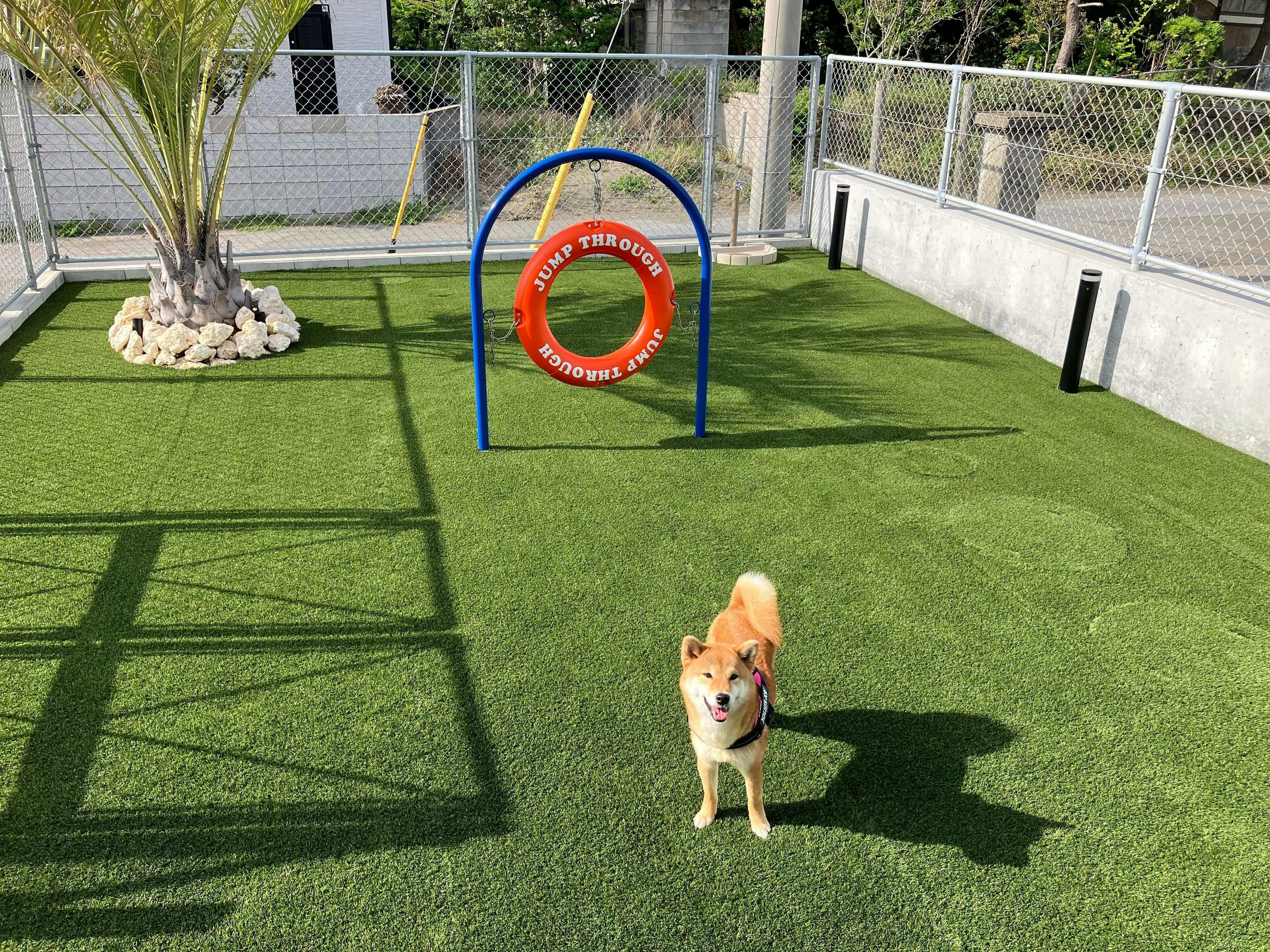 Dog Villa SAMPO