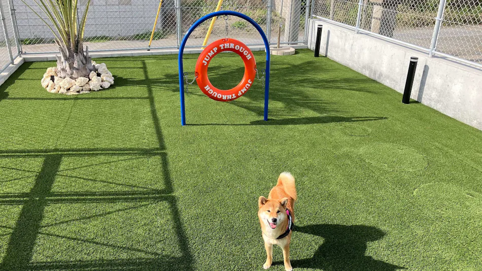 Dog Villa SAMPO