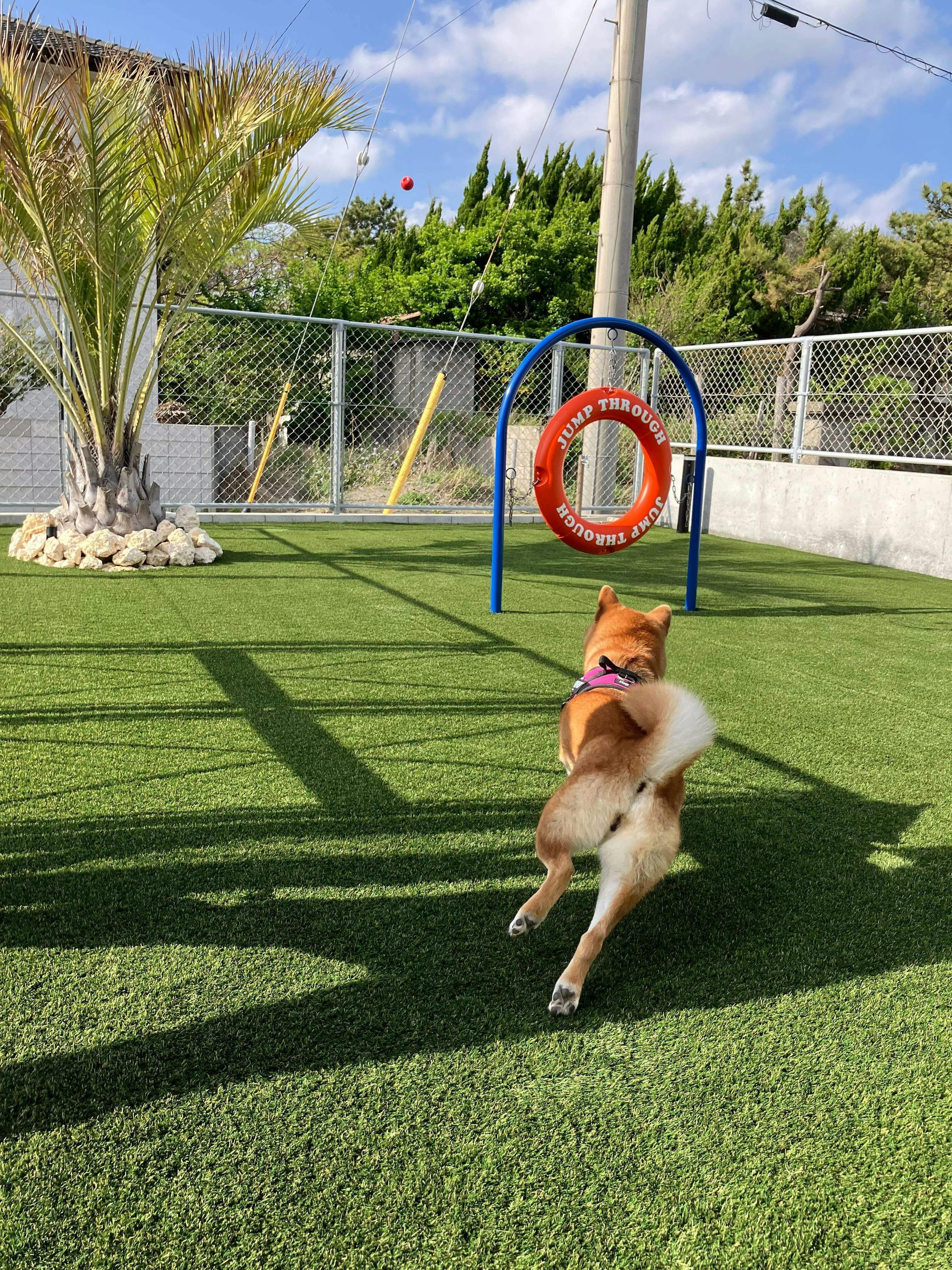 Dog Villa SAMPO