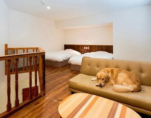 （D）ペットOK！ドッグラン付メゾネット