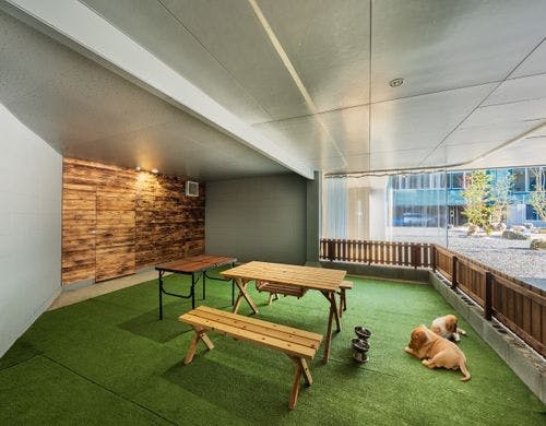 （D）ペットOK！ドッグラン付メゾネット