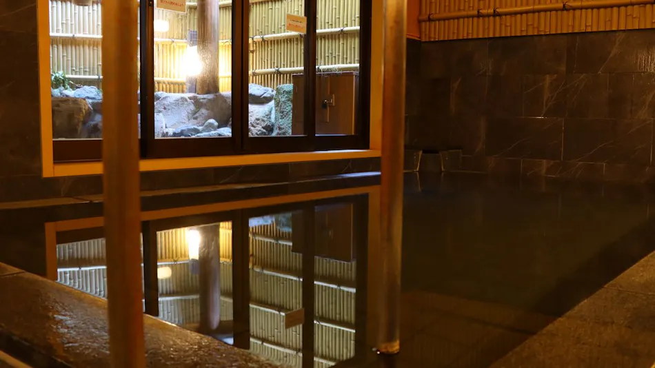 Akayu Onsen Taisho Romantic Healing Accommodation - Tanbakan