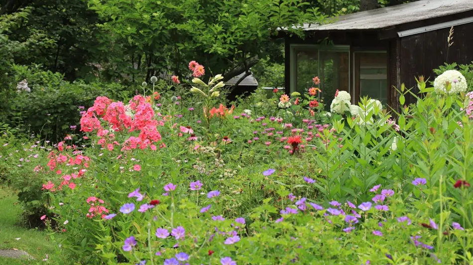 Shinshu Minenohara Pension Garden Story