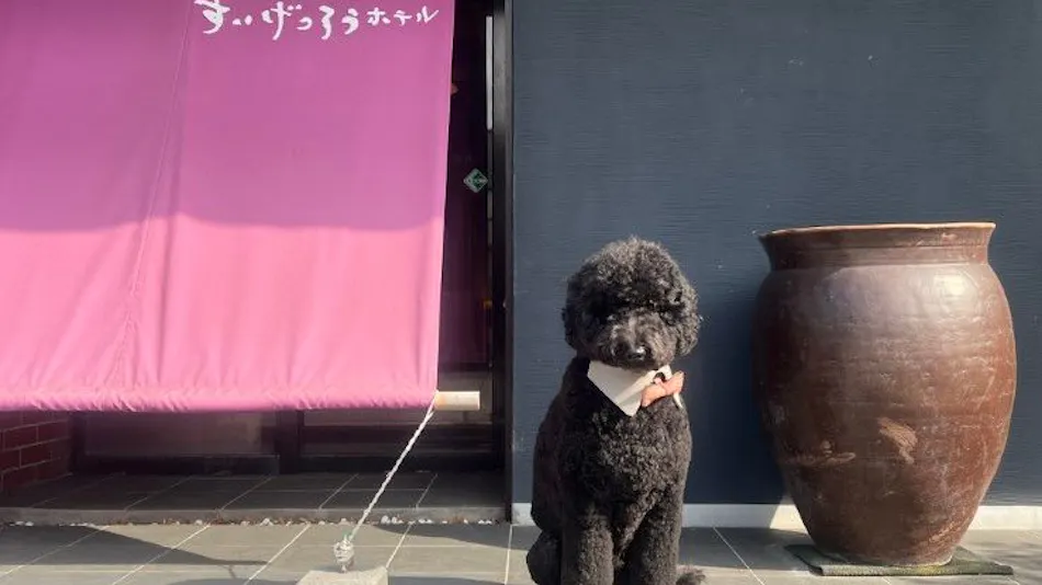 Dog-friendly inn with excellent Japanese cuisine since1791 Suigetsuro Hotel