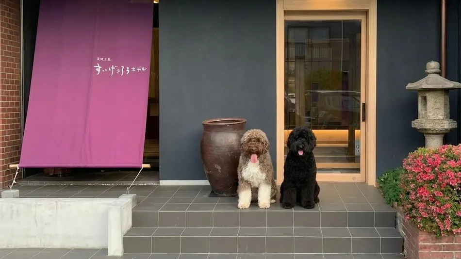 Dog-friendly inn with excellent Japanese cuisine since1791 Suigetsuro Hotel