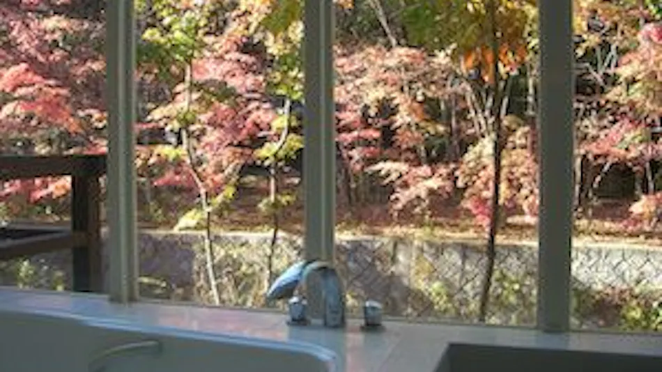 Kyukaruizawa North Avenue