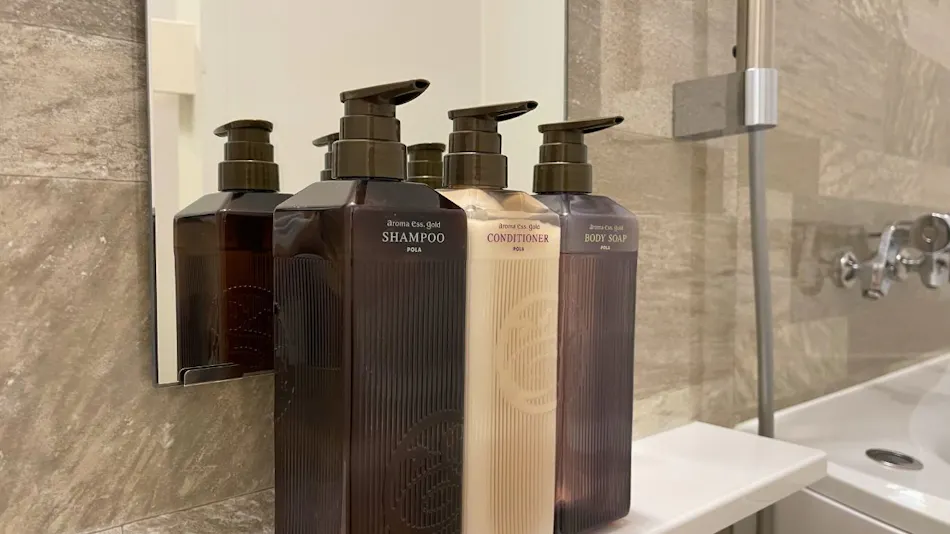 Kyukaruizawa North Avenue