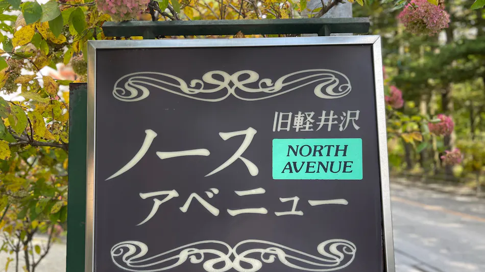 Kyukaruizawa North Avenue