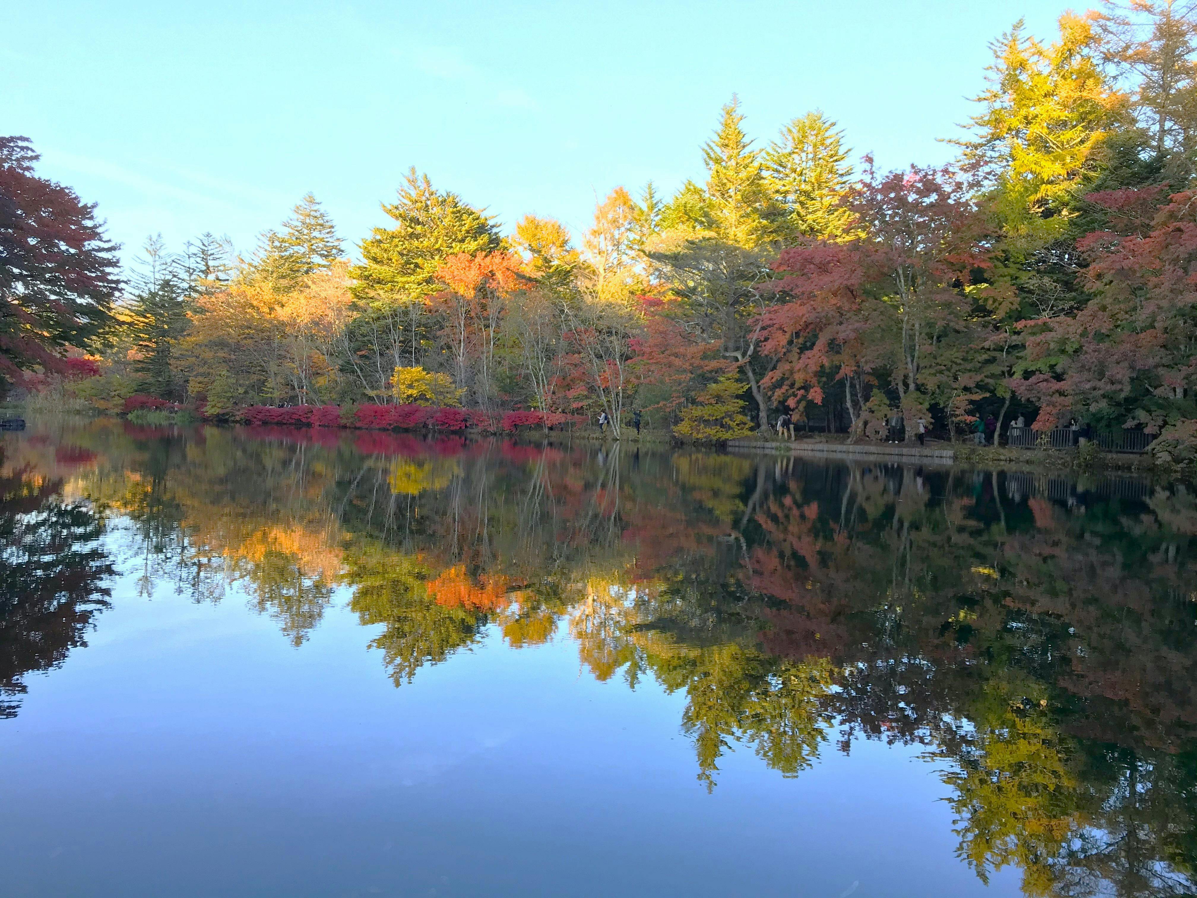 เดินประมาณ 5 นาทีถึงสระคุโมบะ (Kumoba Pond)