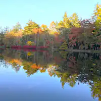 เดินประมาณ 5 นาทีถึงสระคุโมบะ (Kumoba Pond)