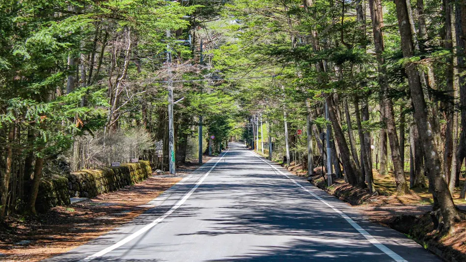 Kyukaruizawa North Avenue