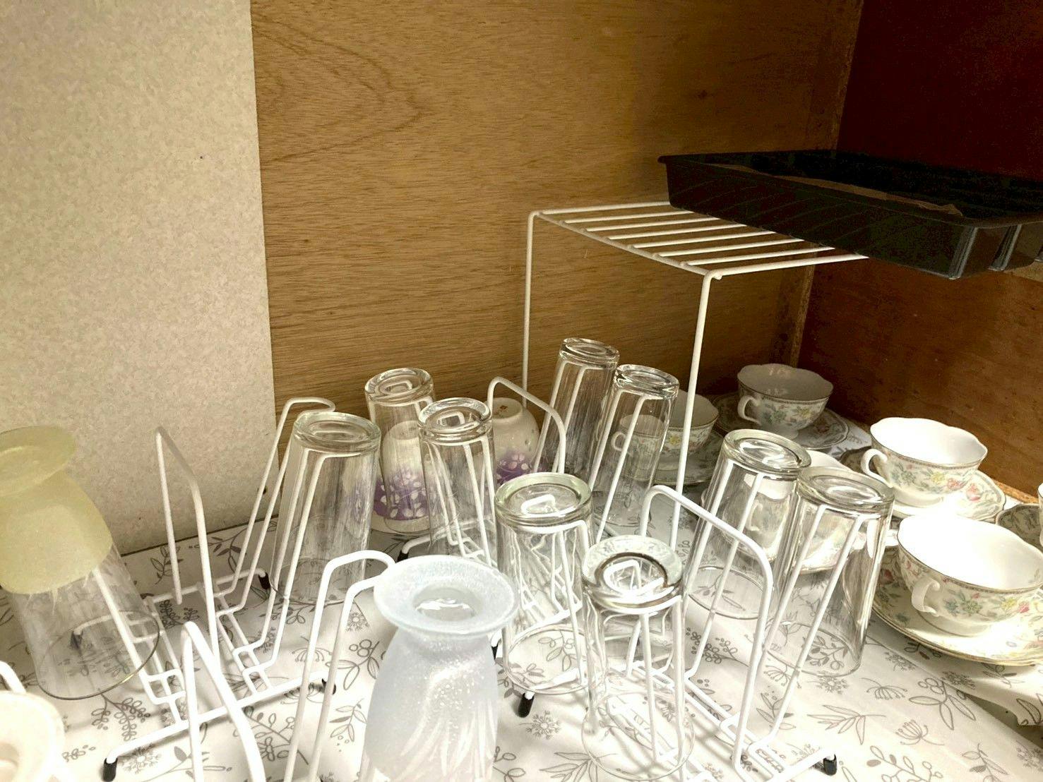 Pet-Friendly Accommodation in Osaka