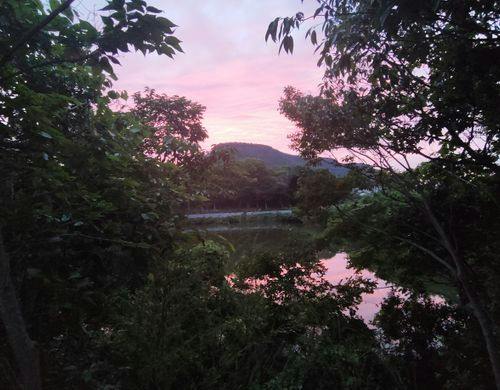 夕映え屋島