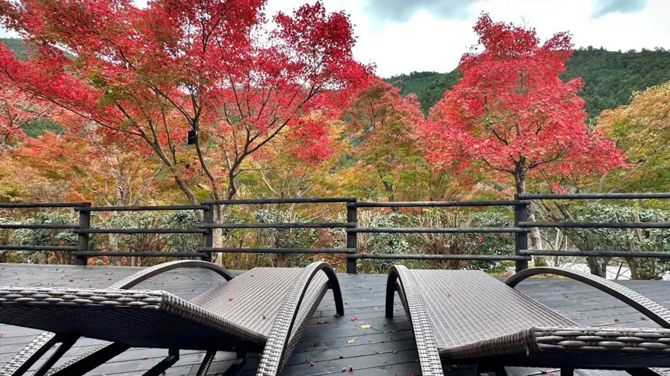 W.A.S Riverside Nature Terrace