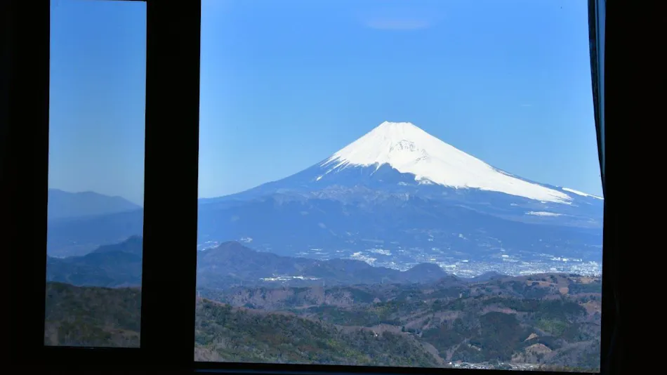 Fuji Sunshine Hotel