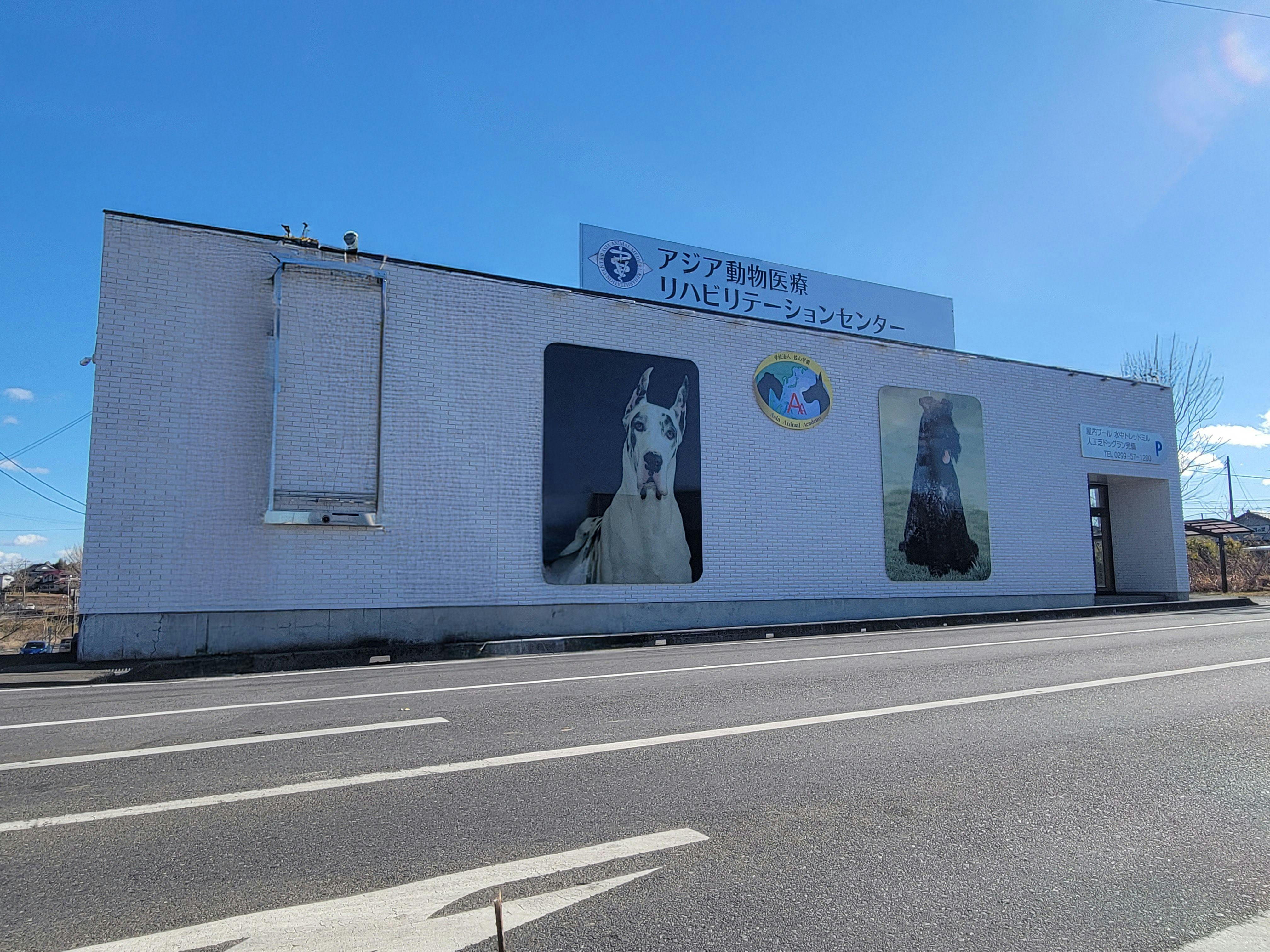 HOTEL Dane & Kerry Dog Resort