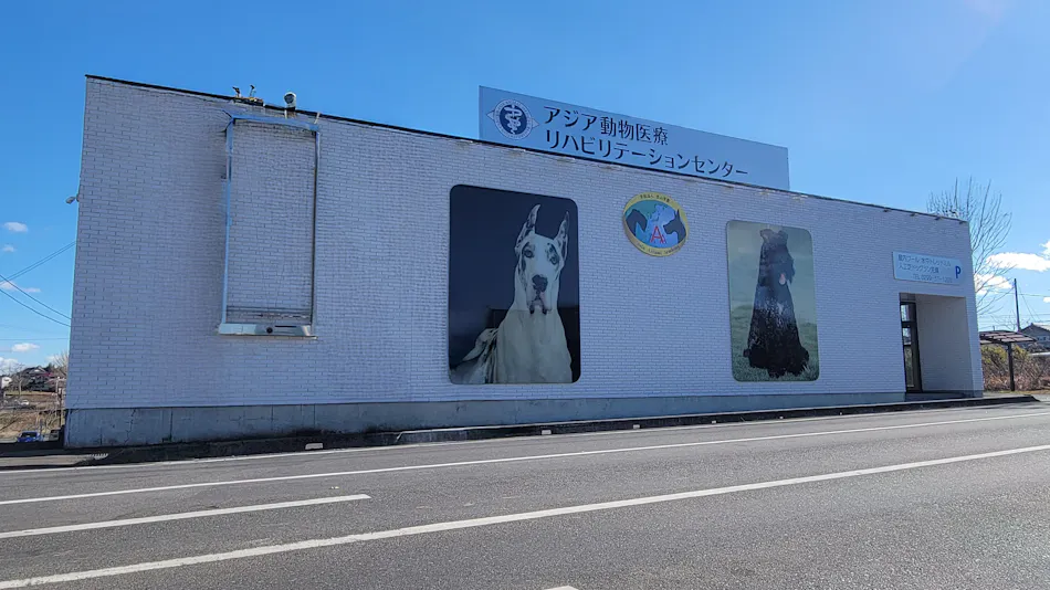 HOTEL Dane & Kerry Dog Resort