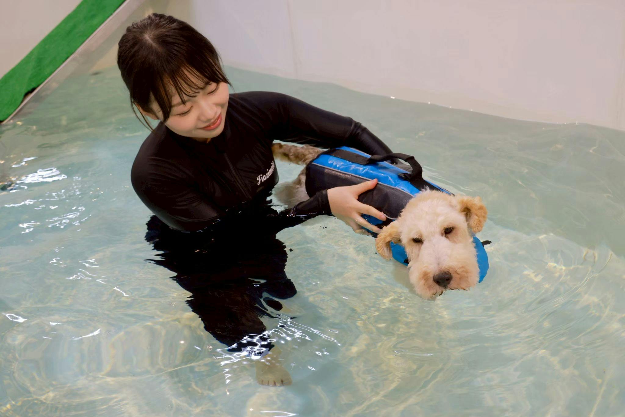 HOTEL Dane & Kerry Dog Resort
