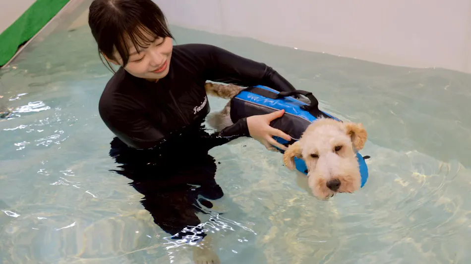 HOTEL Dane & Kerry Dog Resort