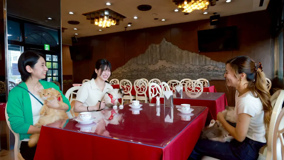 HOTEL Dane & Kerry Dog Resort