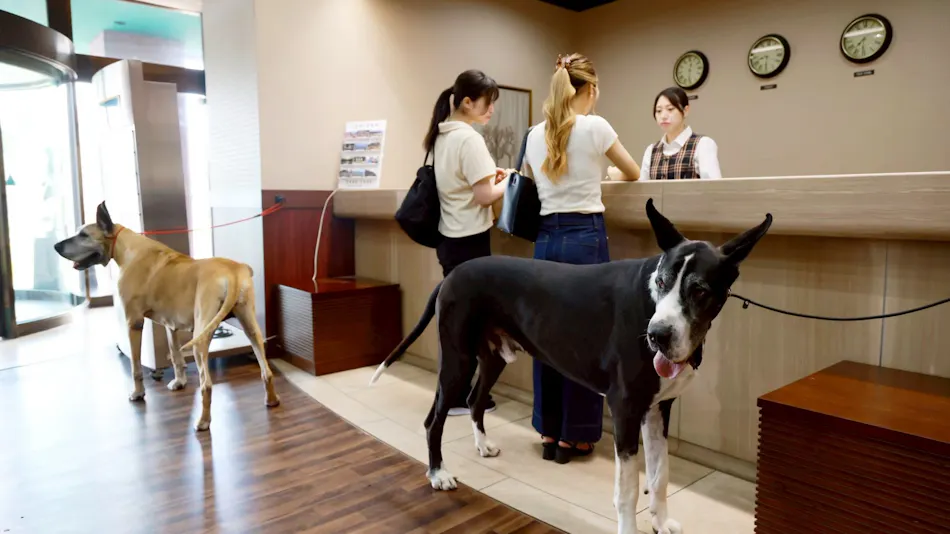 HOTEL Dane & Kerry Dog Resort