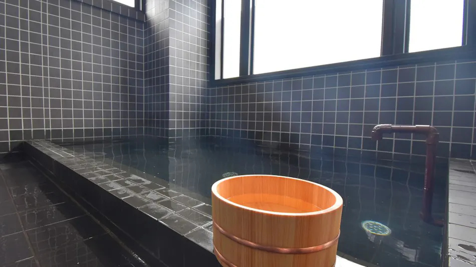 HOTEL WINDS ASAKUSA Capsule Inn